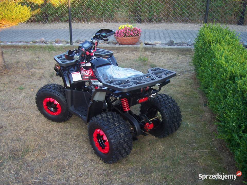 Quad 125 150 duży automat młodzieży dorosłych Goleniów