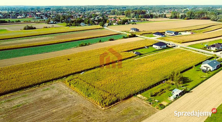 Grunt na sprzedaż 18750m2 Borek Wielki Wschodnia szambo podkarpackie
