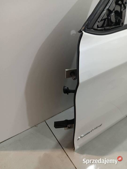 DRZWI LEWE PRZÓD A960 Bmw X6 II 20142019 F16 świętokrzyskie