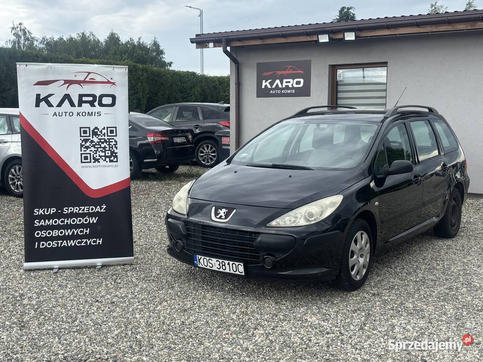 Peugeot 307 307 Paniówki