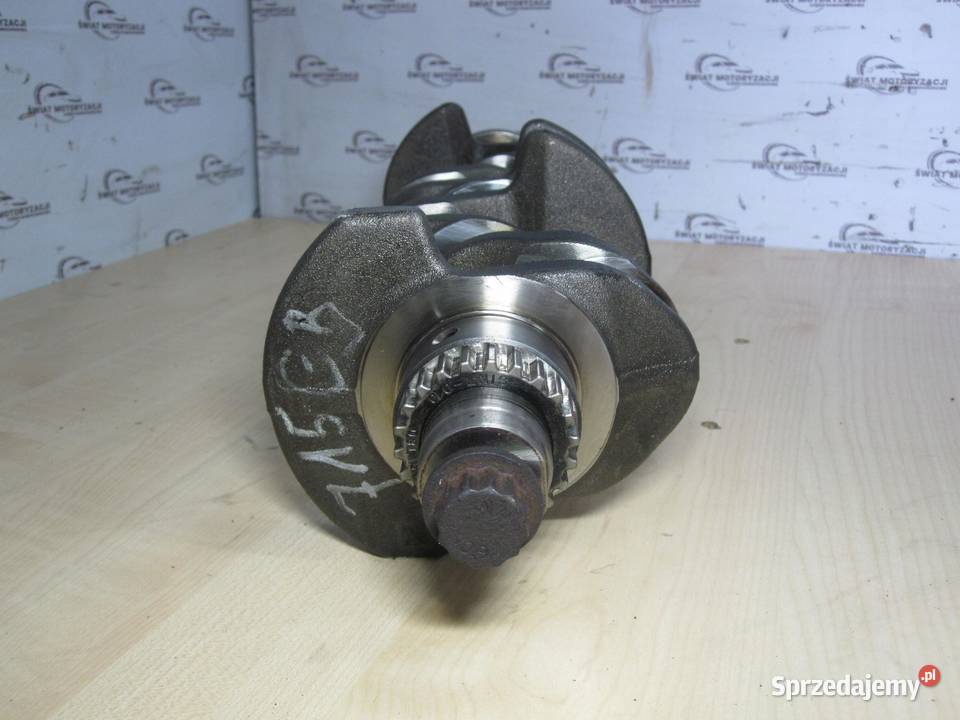 AUDI VW SKODA SEAT CAY 16 TDI 10r wał korbowy sprzedam