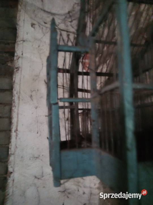 Sprzedam starą klatkę na ptaki sprzedam