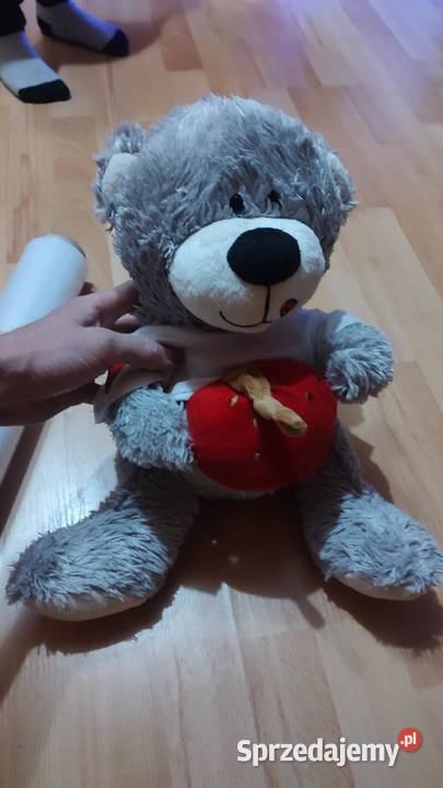 Pluszowa maskotka Miś wielkopolskie Książ Wielkopolski