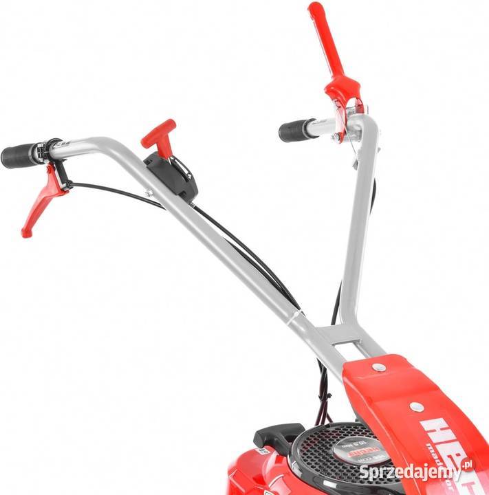 HECHT 587 KOSIARKA SPALINOWA LISTWOWA DO Opalenica sprzedam