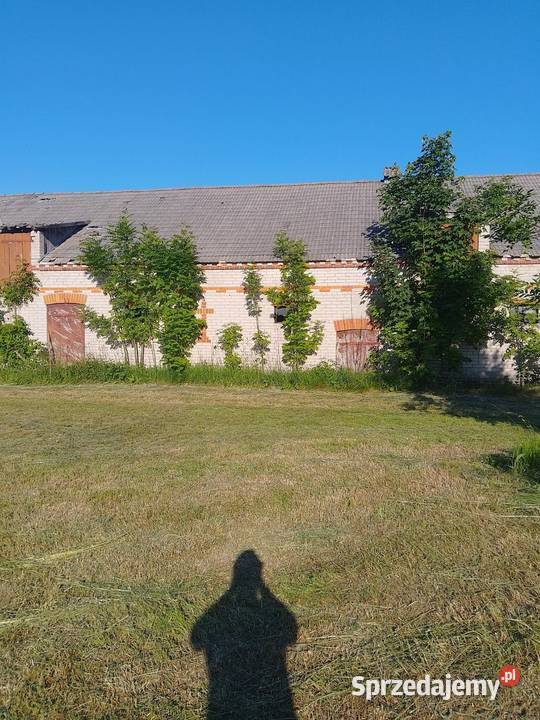 Siedlisko we wsi Krasówka Włodawa