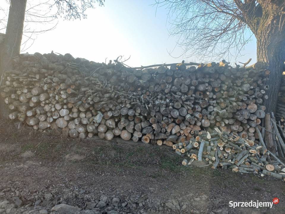 Drewno opałowe kominkowe liściaste Świniary