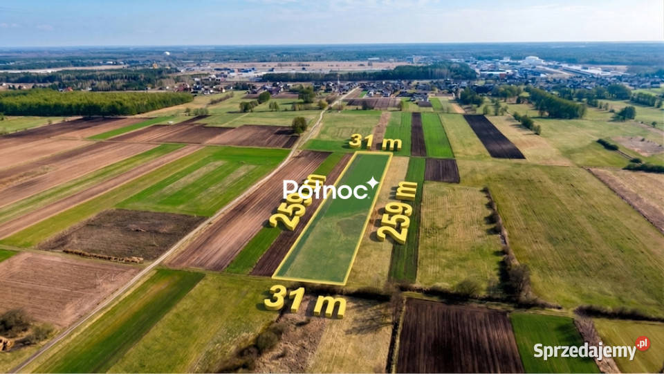 Łąka 8000m2 w Małaszewiczach Dużych lubelskie Małaszewicze Duże sprzedam