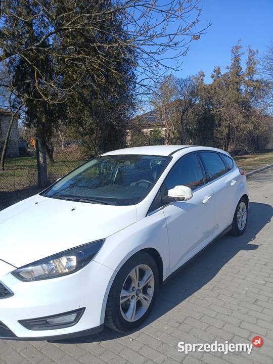 Ford Focus mk3 biały Chełm