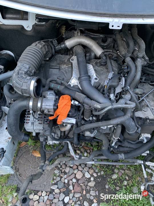 Sinik 20 Ford Custom BKFA Silniki kompletne Września