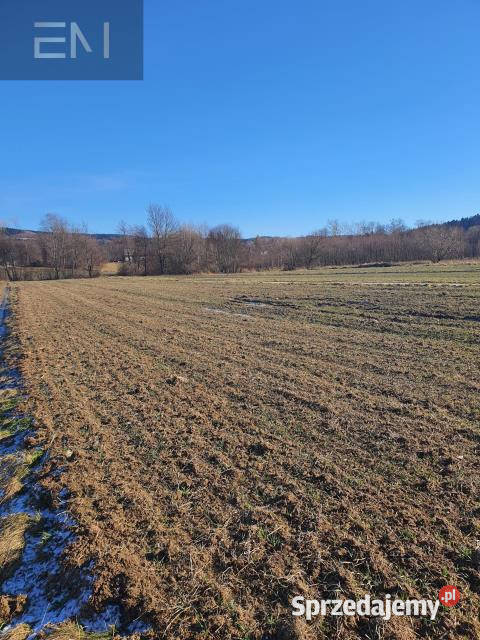 Grunt 3100m2 Wysoka Strzyżowska