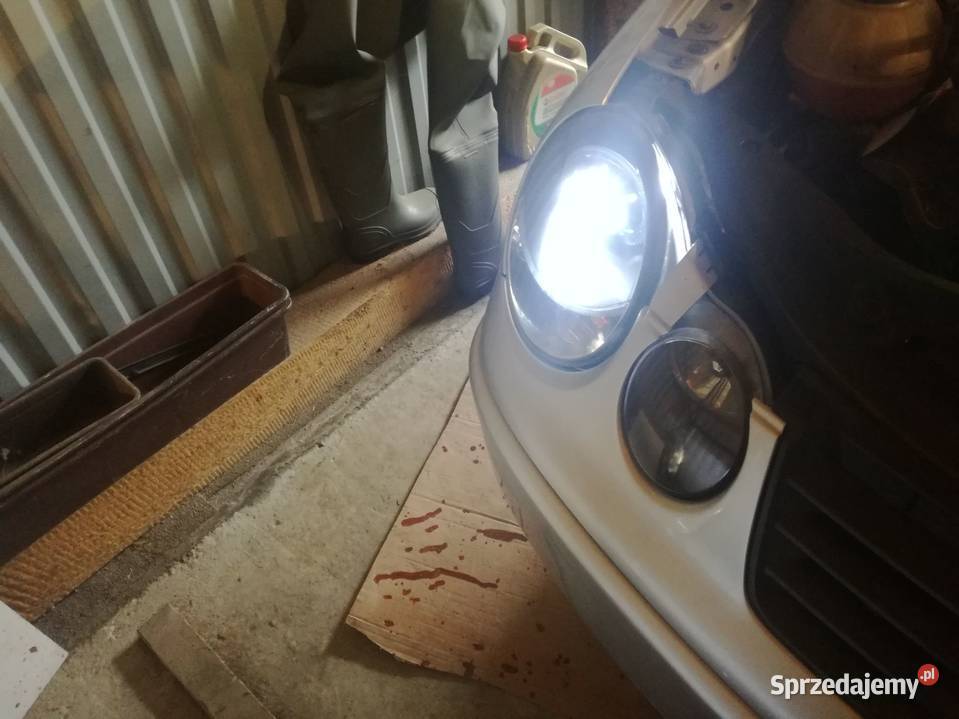 Lampy polo 9n Xenonringi Nowy Targ