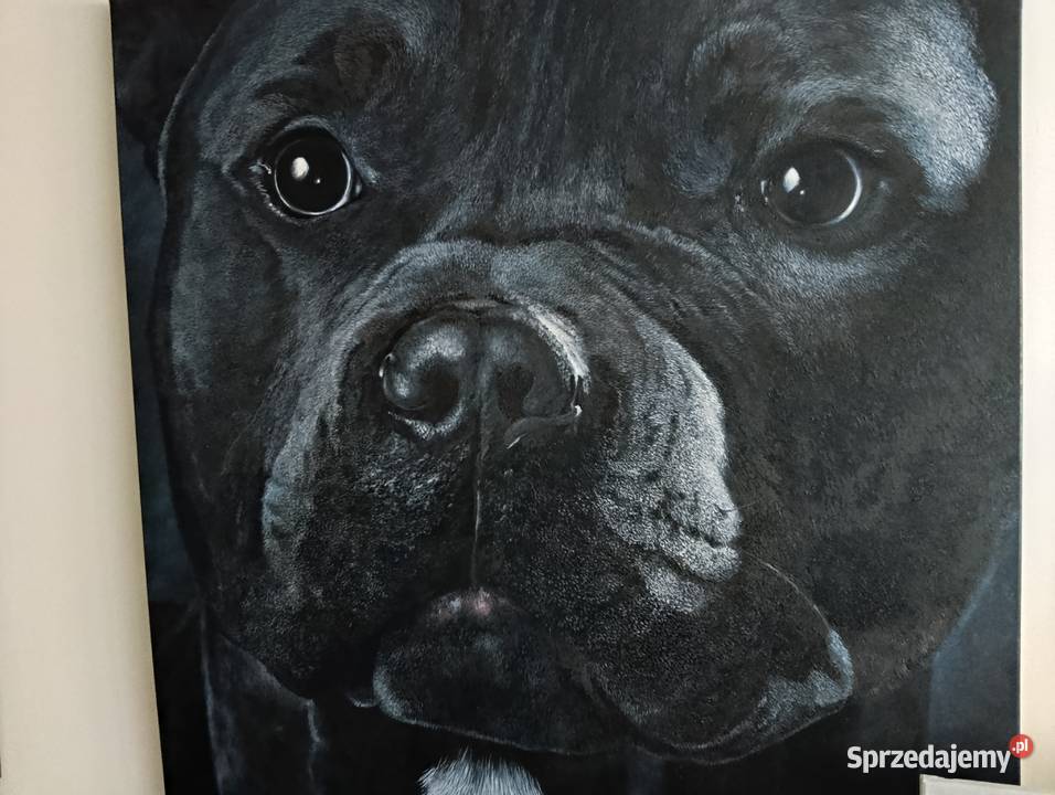 Malowanie obrazów Kurtek Poznań