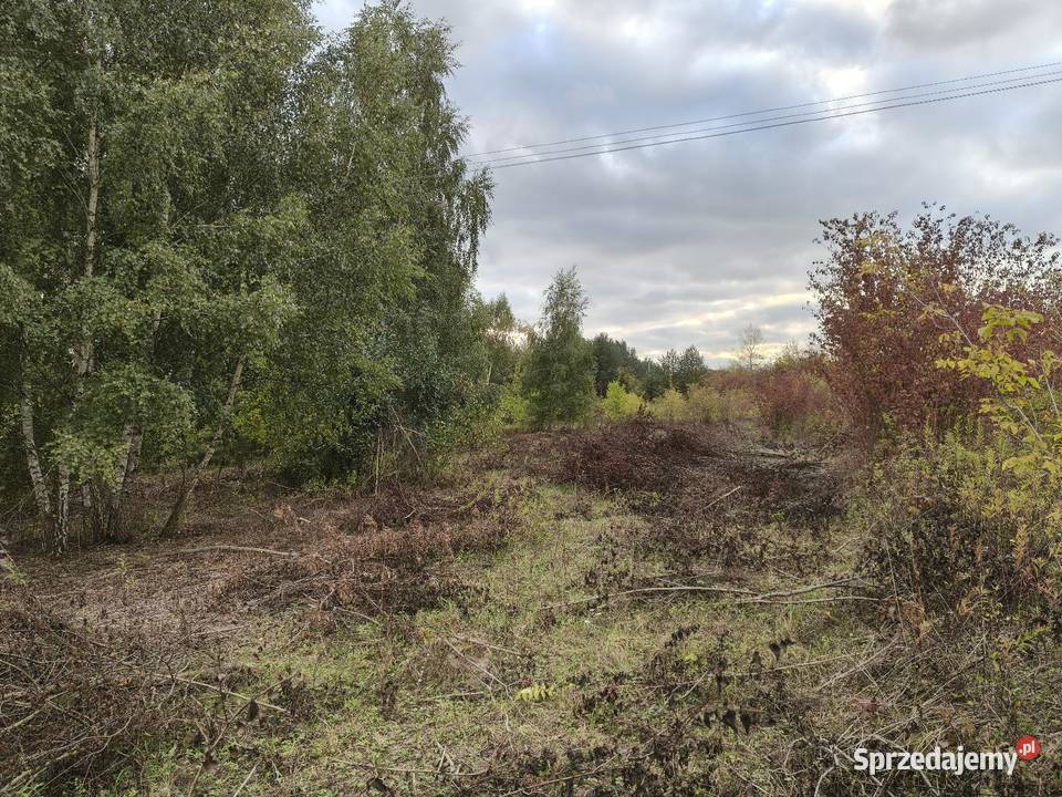Działka na sprzedaż sprzedam