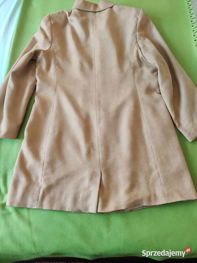 Płaszczyk wiosenny Myszków