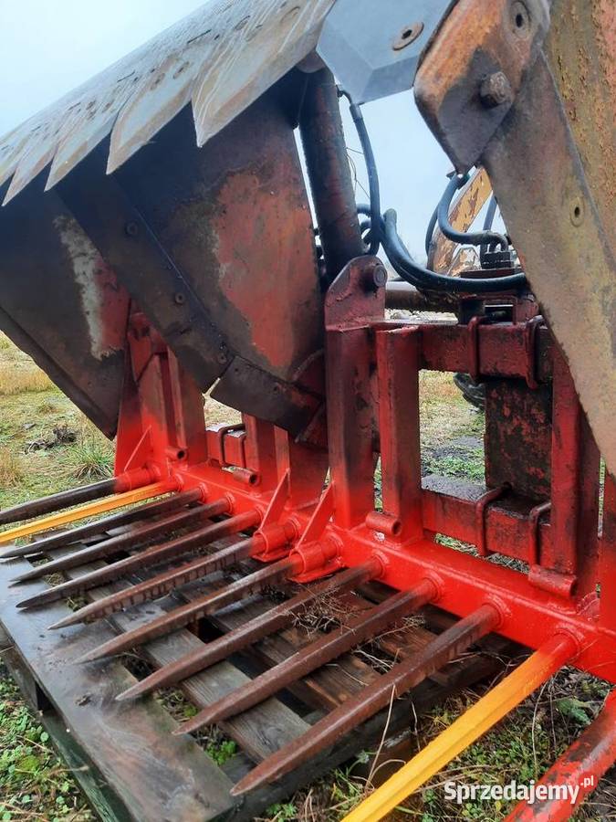 Wycinak szczękowy redrock