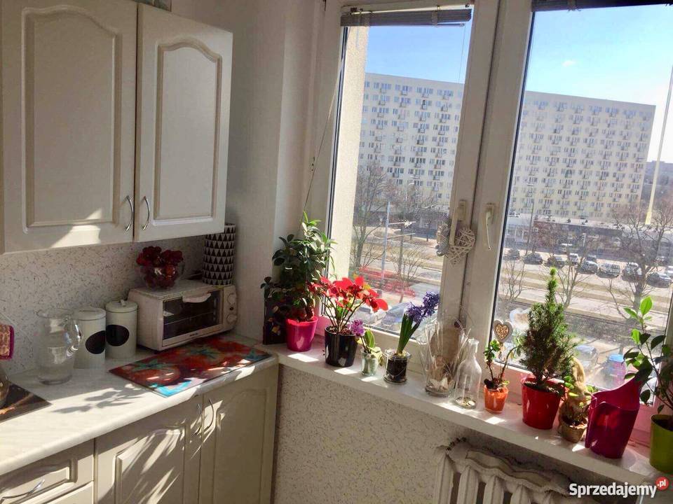 Kawalerka morzem pomorskie Gdańsk