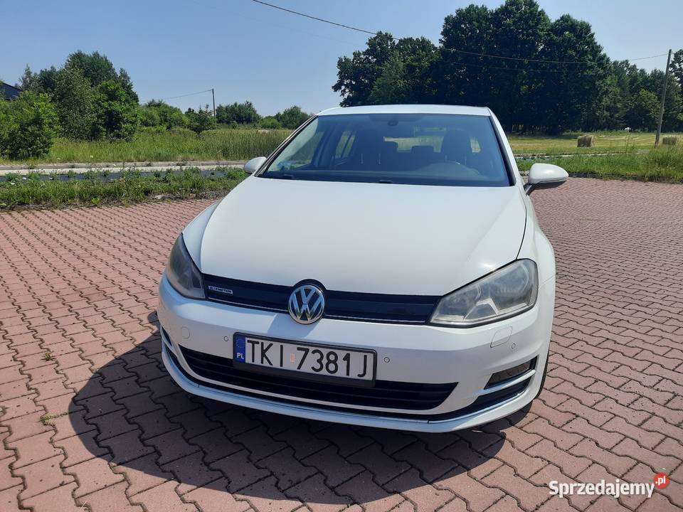 Volkswagen Golf 7 16 Tdi 110 6 biegów czujnik zmierzchu Golf Zagnańsk