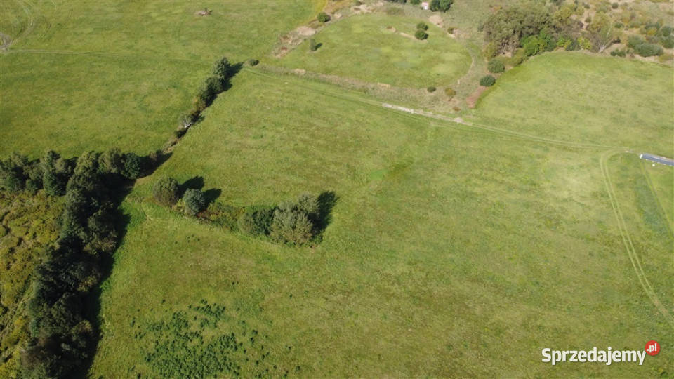 ŚWIETNA DZIAŁKI BUDOWLANEJ  W WOJCIESZYCACH Wojcieszyce