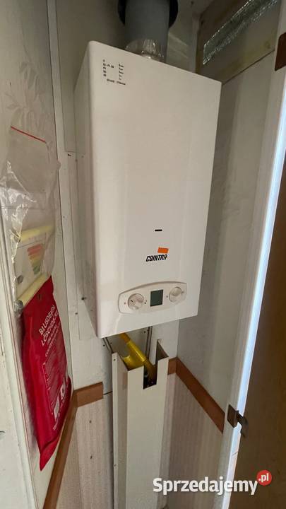 Domek Holenderski W819 11x370 Dwie Syp Prysz Ostrów Wielkopolski