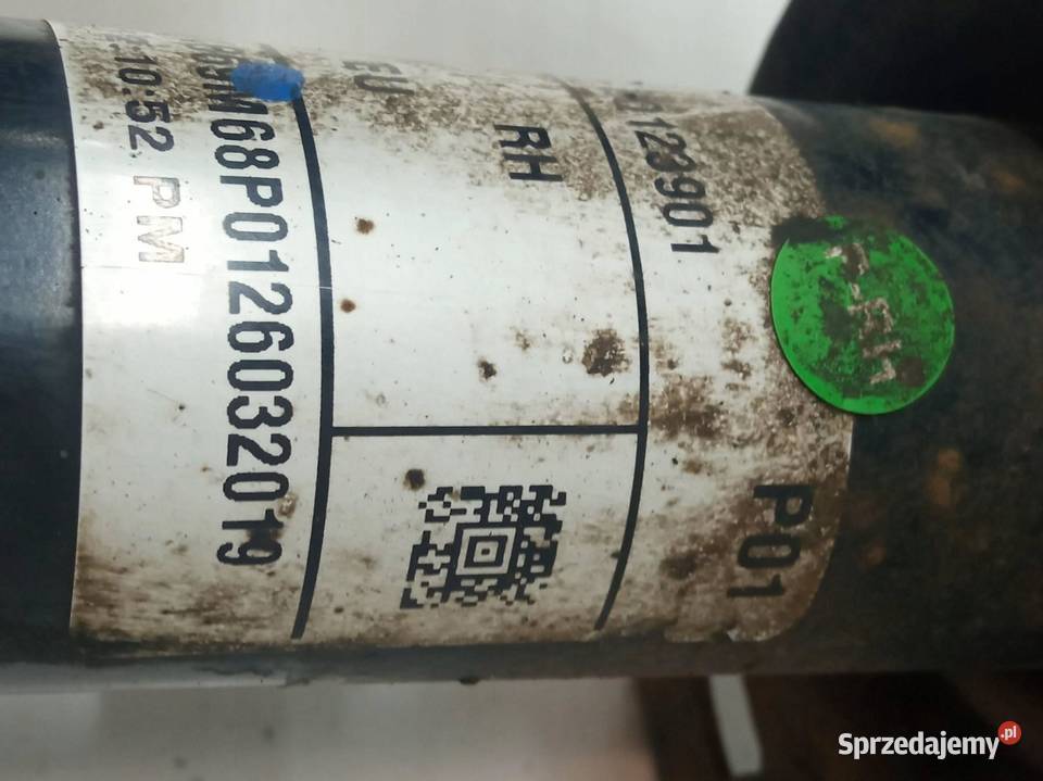 AMORTYZATOR PRAWY PRZÓD 12 B 250319A Suzuki świętokrzyskie