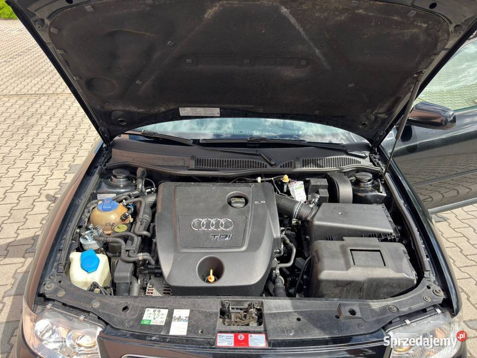 Audi A3 19 TDI klimatyzacja Oleśnica