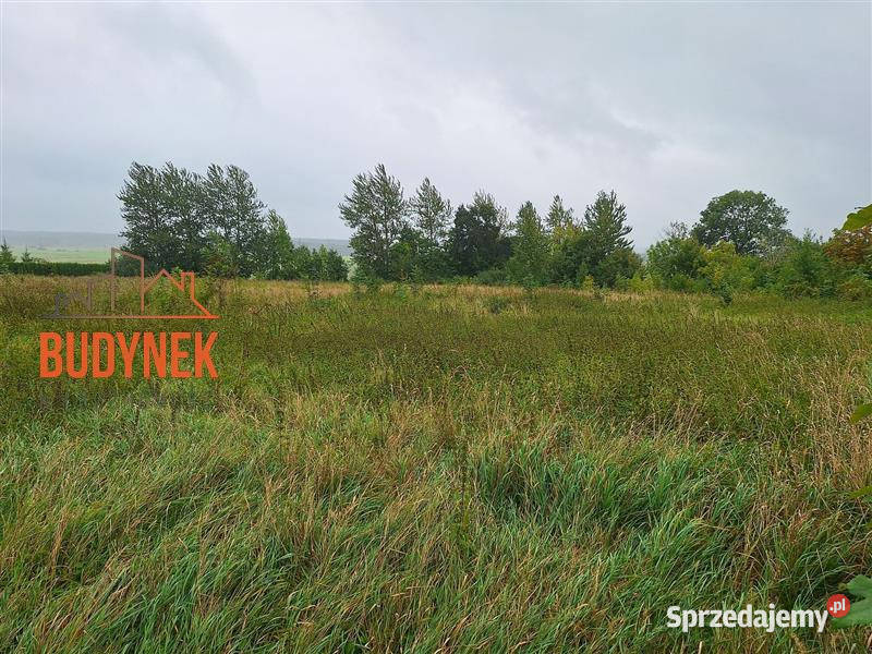 Dom wolnostojący Kopnica