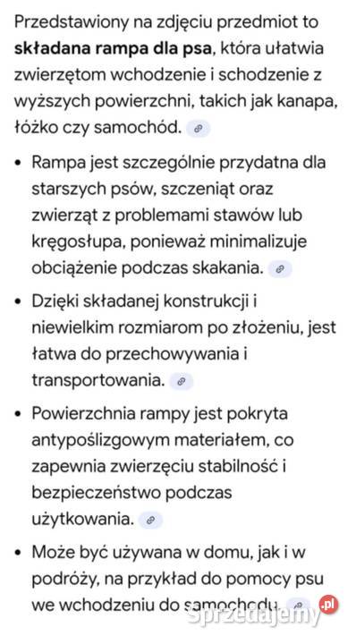 Składana rampa dużych psów