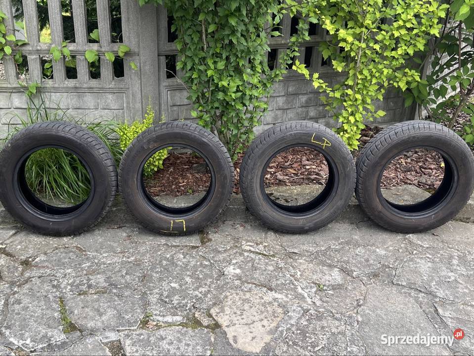 Opony zimowe Barum Polaris 5 15570 R13 Picanto Samochodowe śląskie Pszczyna