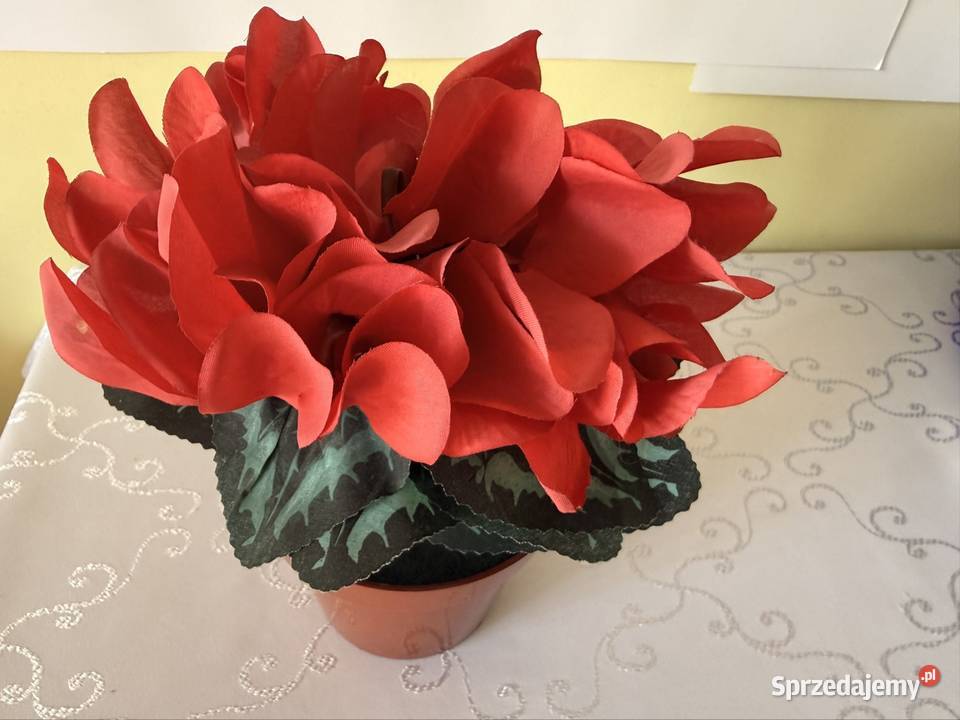 Sztuczny Kwiat Fiołek Alpejski Cyklamen Czerwony śląskie Czerwionka-Leszczyny