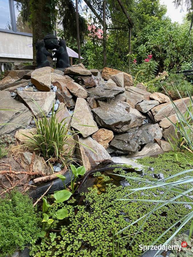 łupek skalniakowy do ogrodu Księżyce