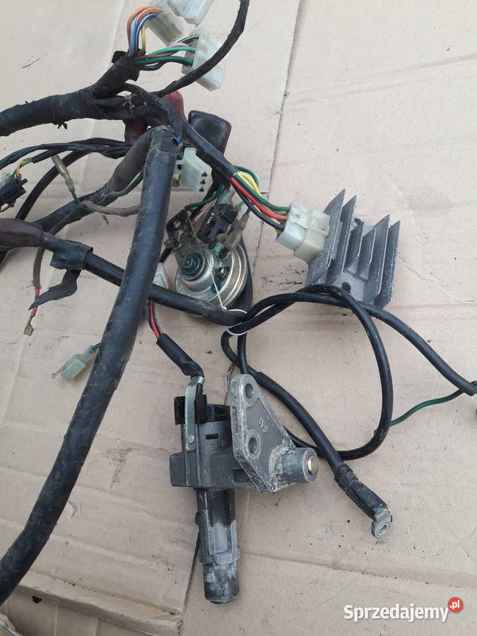 ISNTALACJA ELEKTRYCZNA WIAZKA DUZA DAELIM OTELLO Sokolniki