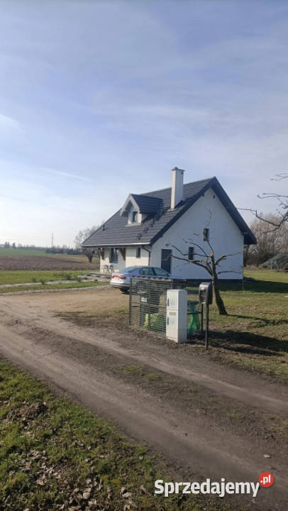 Dom w cichej okolicy Liczba pokoi 7 Domy Rypin