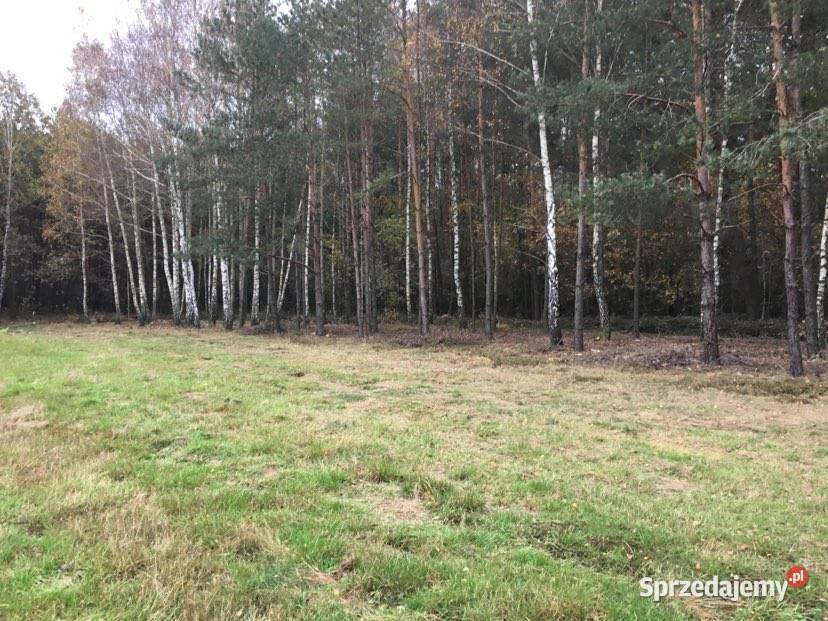Piękna działka z częścią zalesioną Ogrodzona Sprzedaż Samogoszcz