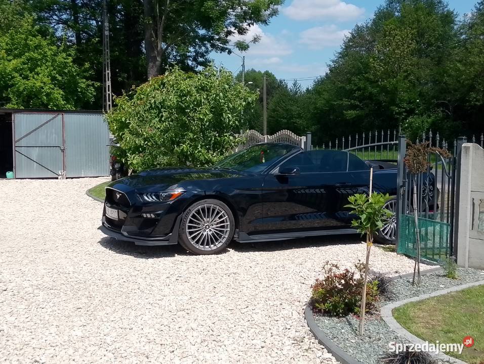Ford mustang cabrio 37 Kłomnice