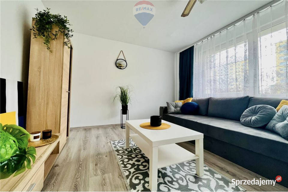 Komfortowe 3 pokoje do wynajęcia Zielona Góra