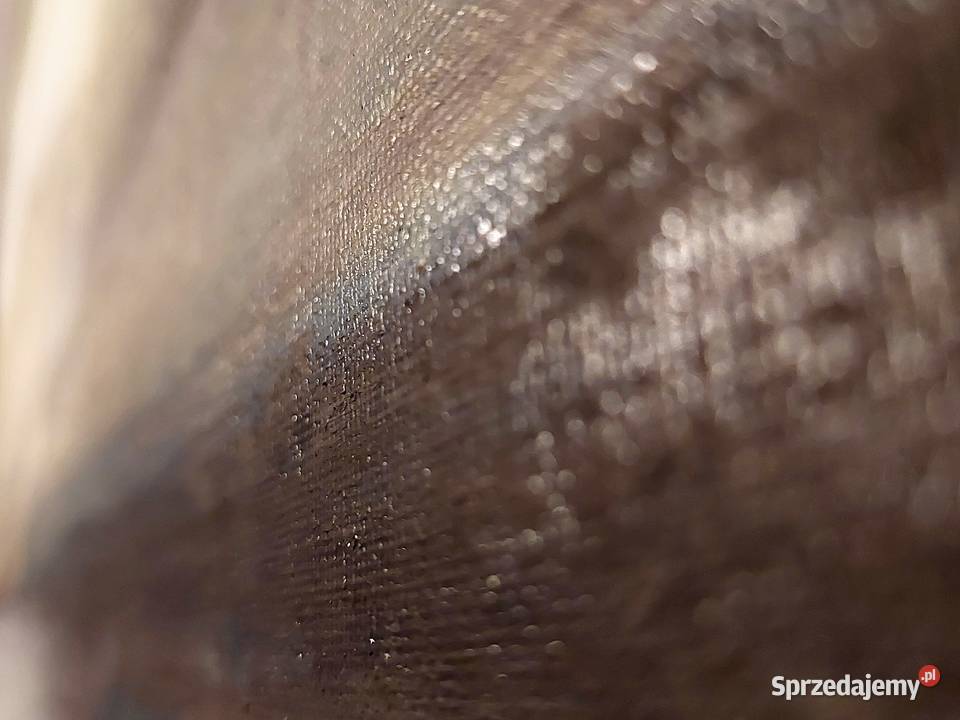 Łazienki królewskie obraz ręcznie malowany 5070 Lublin sprzedam