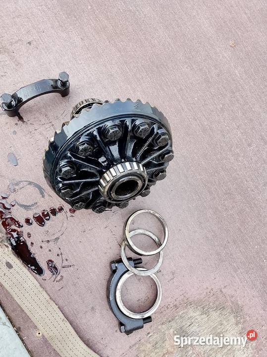 Wkład mostu mascott świętokrzyskie Bieliny