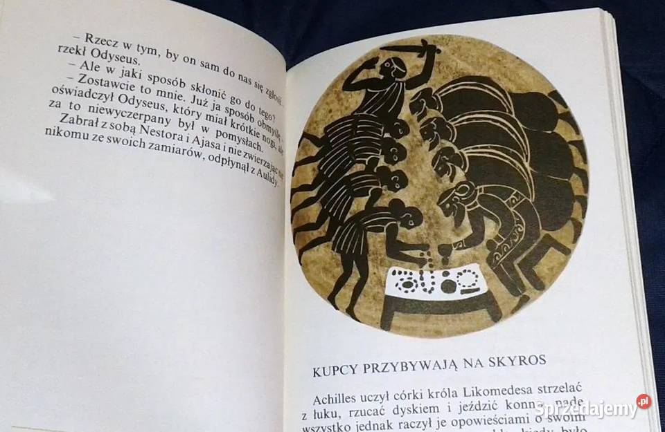 Młodość Achillesa Jadwiga Żylińska Pozostałe Chełm