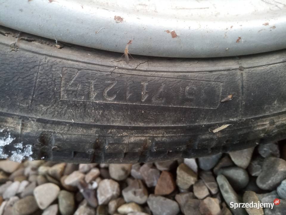 Wsk oryginalny stan plomba na silniku Oświęcim