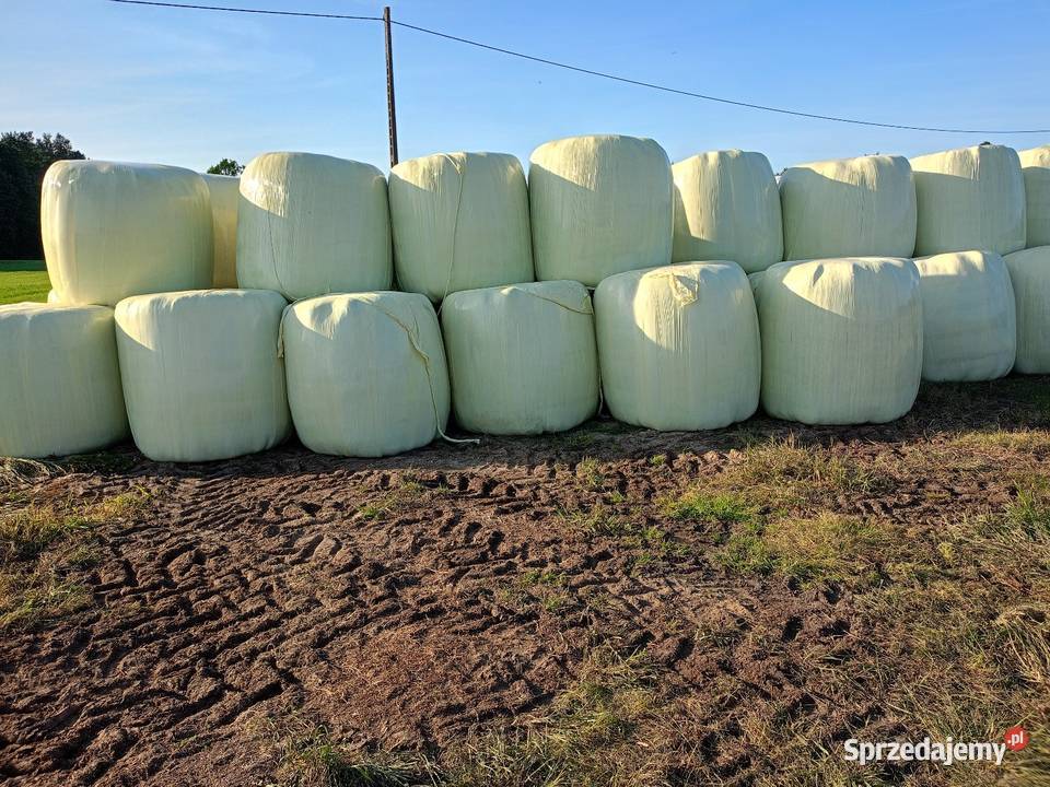 Baloty sianokiszonki 125125 pokos 2025