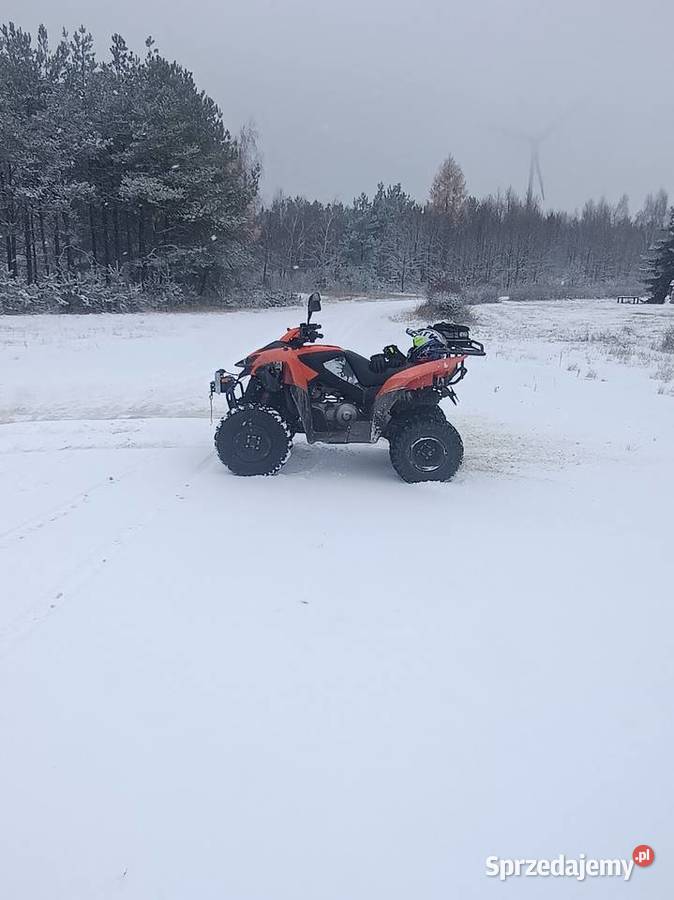 quad 300 zarejestrowany pług wyciagarka stan łańcuch Pozostałe Bełchatów