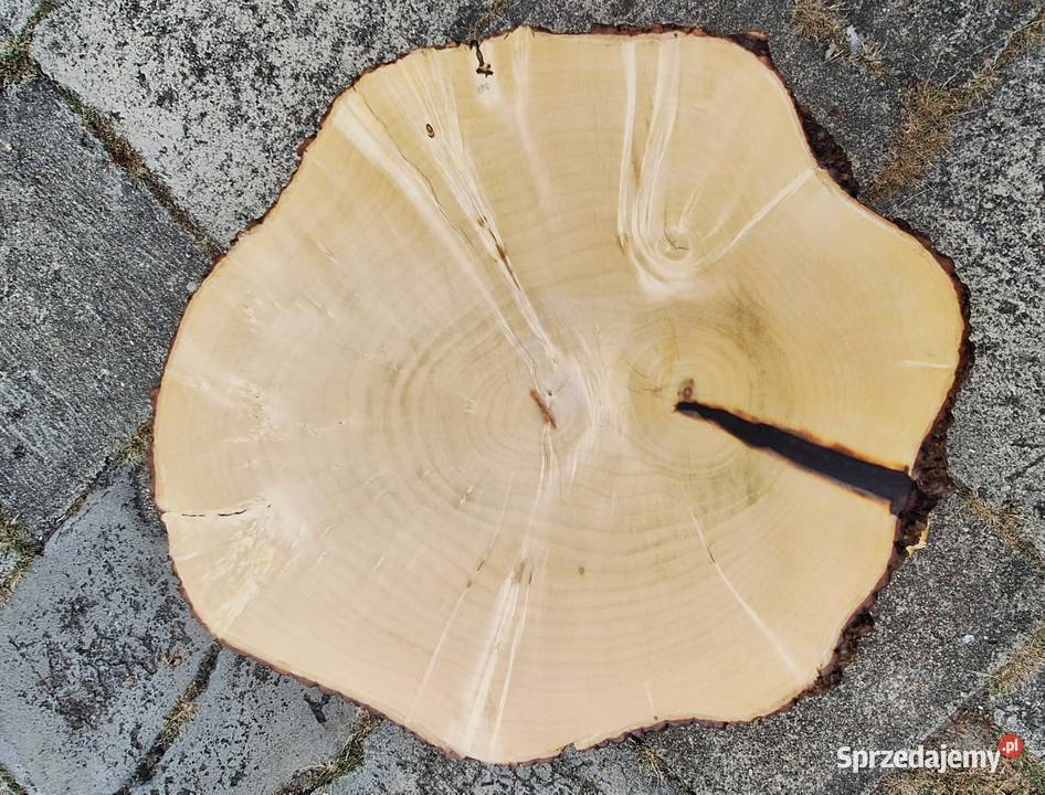 Stolik kawowy Ziarna kawy opalony Poznań
