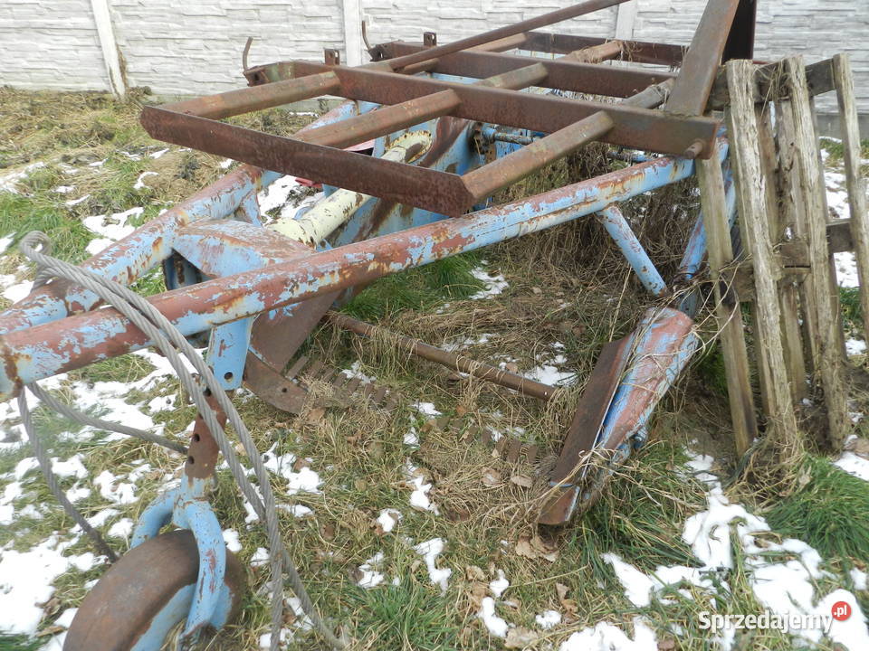 Kopaczka Elewatorowa małopolskie