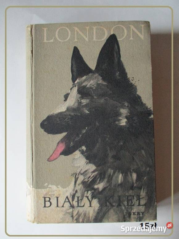 Chłopcy z Placu Broni FMolnar 1955literatura Łódź