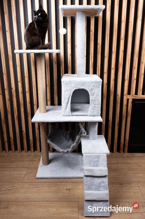 Drapak kota legowisko wieża domek schodki 4 Poznań