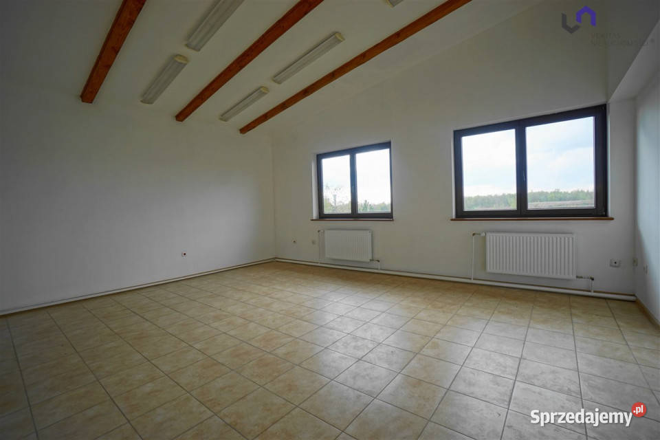 wynajmu lokalu Siemianowice Śląskie 7024m2