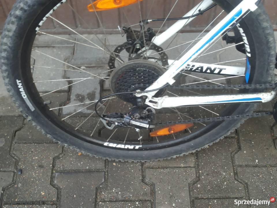 Giant Revel 3 w stanie Katowice