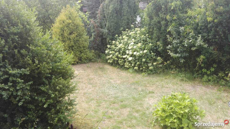 Działka ROD Poznań Złotowska wielkopolskie