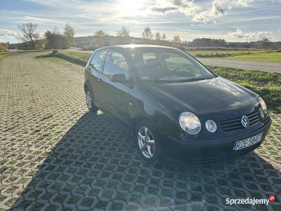 Volkswagen Polo 9N 2001 12 benzyna podkarpackie Dynów