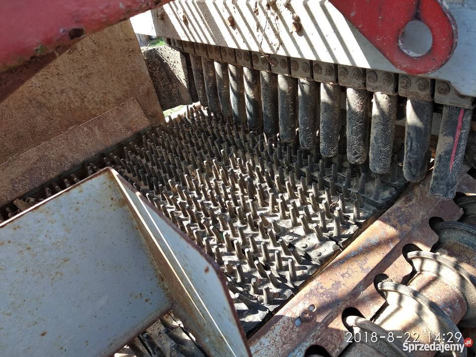 Kombajn samro nie grimme Anna wuhlmaus Bergman wielkopolskie Staw